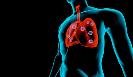 病毒感染人体的肺部