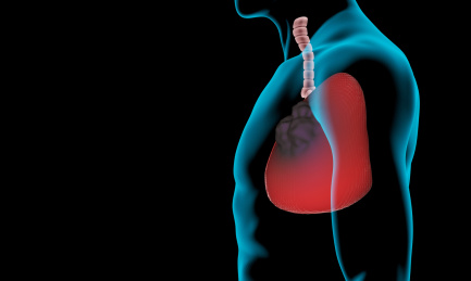 肺部肿瘤透视插图，癌症，肺癌