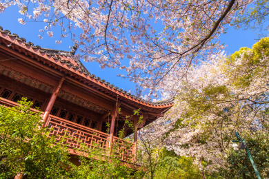 杭州西湖北山路玛瑙寺连横博物馆