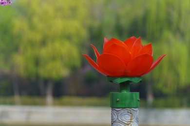 荷花造型的景观灯