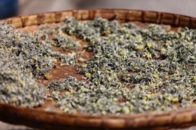 手工晾晒油菜花