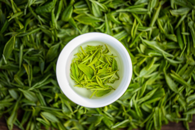 一杯明前碧螺春新茶