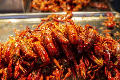 贵州省遵义市捞沙巷小吃：烤鲜虾