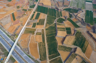 山东齐鲁大地春色美