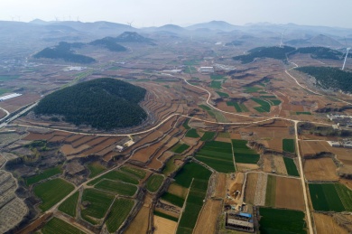 山东齐鲁大地春色美