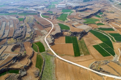 山东齐鲁大地春色美