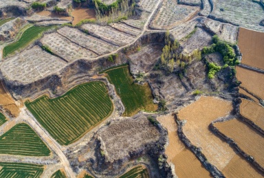 山东齐鲁大地春色美
