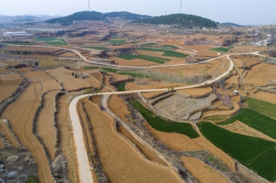 山东齐鲁大地春色美