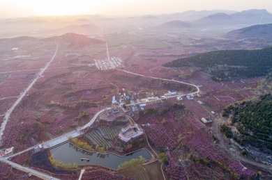 山东齐鲁大地春色美