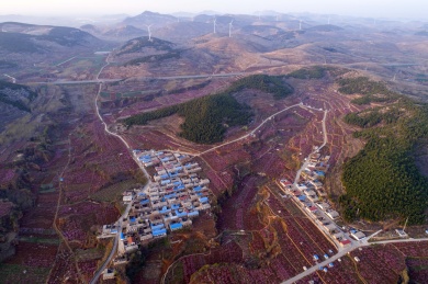 山东齐鲁大地春色美