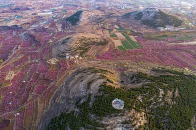 山东齐鲁大地春色美