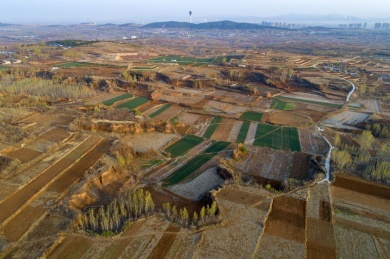 山东齐鲁大地春色美