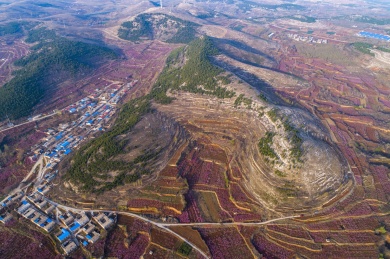 山东齐鲁大地春色美