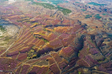 山东齐鲁大地春色美