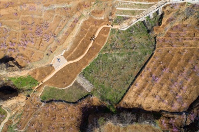 山东齐鲁大地春色美