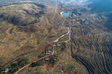 山东齐鲁大地春色美