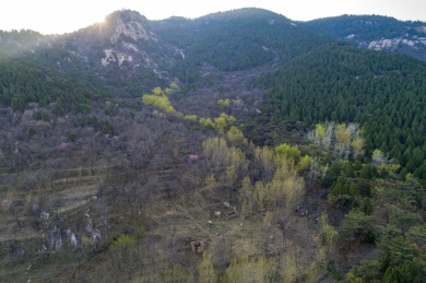 山东齐鲁大地春色美