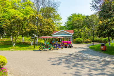 中国南京秦淮区七桥瓮生态湿地公园