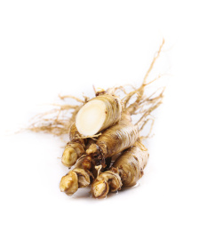 白底上放着一堆带土鲜人参