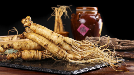 黑石板上放着一堆新鲜长白山人参