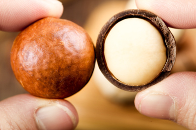 手上拿着大颗夏威夷果和剥开的澳洲胡桃