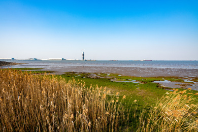 上海吴淞炮台湾国家湿地公园