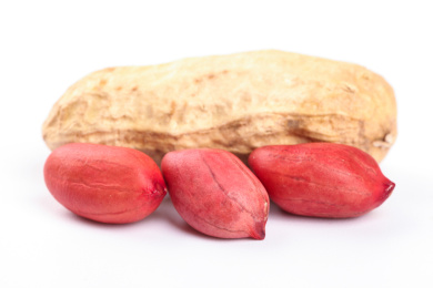 白底上的花生米和一颗带壳的花生