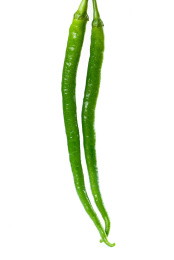 白底上的二荆条线椒