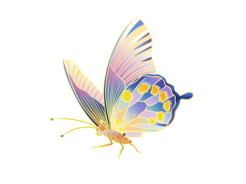 蝴蝶国潮手绘插画元素