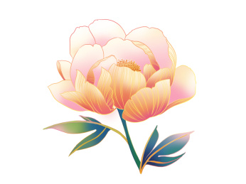 牡丹芍药国潮手绘插画元素纹样