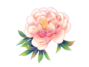 牡丹芍药国潮手绘插画元素纹样