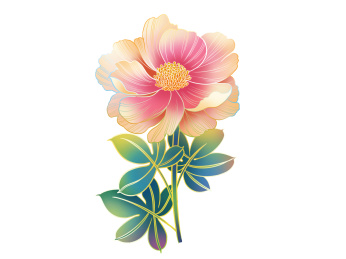 牡丹芍药国潮手绘插画元素纹样