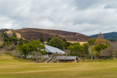 日东奈良佛纳甘元冬季草地与日式建筑