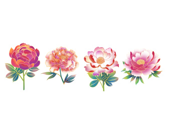牡丹芍药国潮手绘插画元素纹样