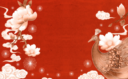 孔雀玉兰花国潮插画海报背景