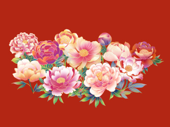 牡丹芍药国潮手绘插画元素纹样