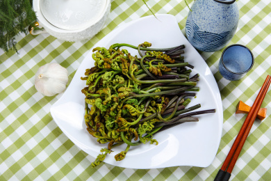 野生蔬菜猫爪菜蕨菜