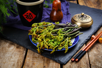 野生蔬菜猫爪菜蕨菜