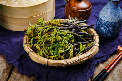 野生蔬菜猫爪菜蕨菜