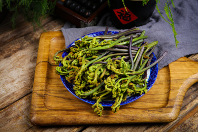野生蔬菜猫爪菜蕨菜