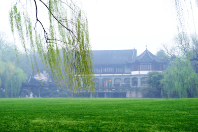 春天雨中的杭州西湖柳浪闻莺公园