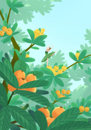 初夏枇杷树上的芭蕾女孩插画