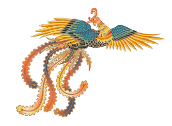 一只彩色传统凤凰白色背景