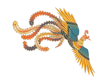 一只彩色传统凤凰白色背景