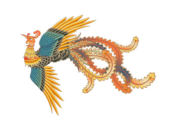 一只彩色传统凤凰白色背景