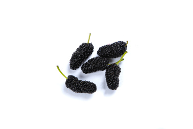 新鲜水果桑葚果