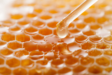 从巢蜜里提取高活性蜂蜜的特写