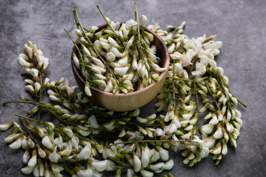 餐具里的洋槐花