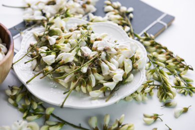 餐具里的洋槐花