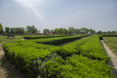 世界文化遗产河南安阳殷墟遗址